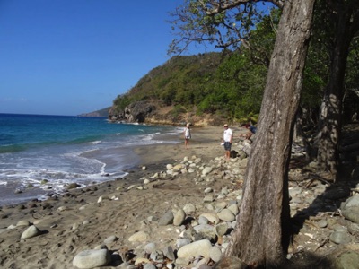 Discovering the beaches in the Saints Discovering the beaches in the Saints